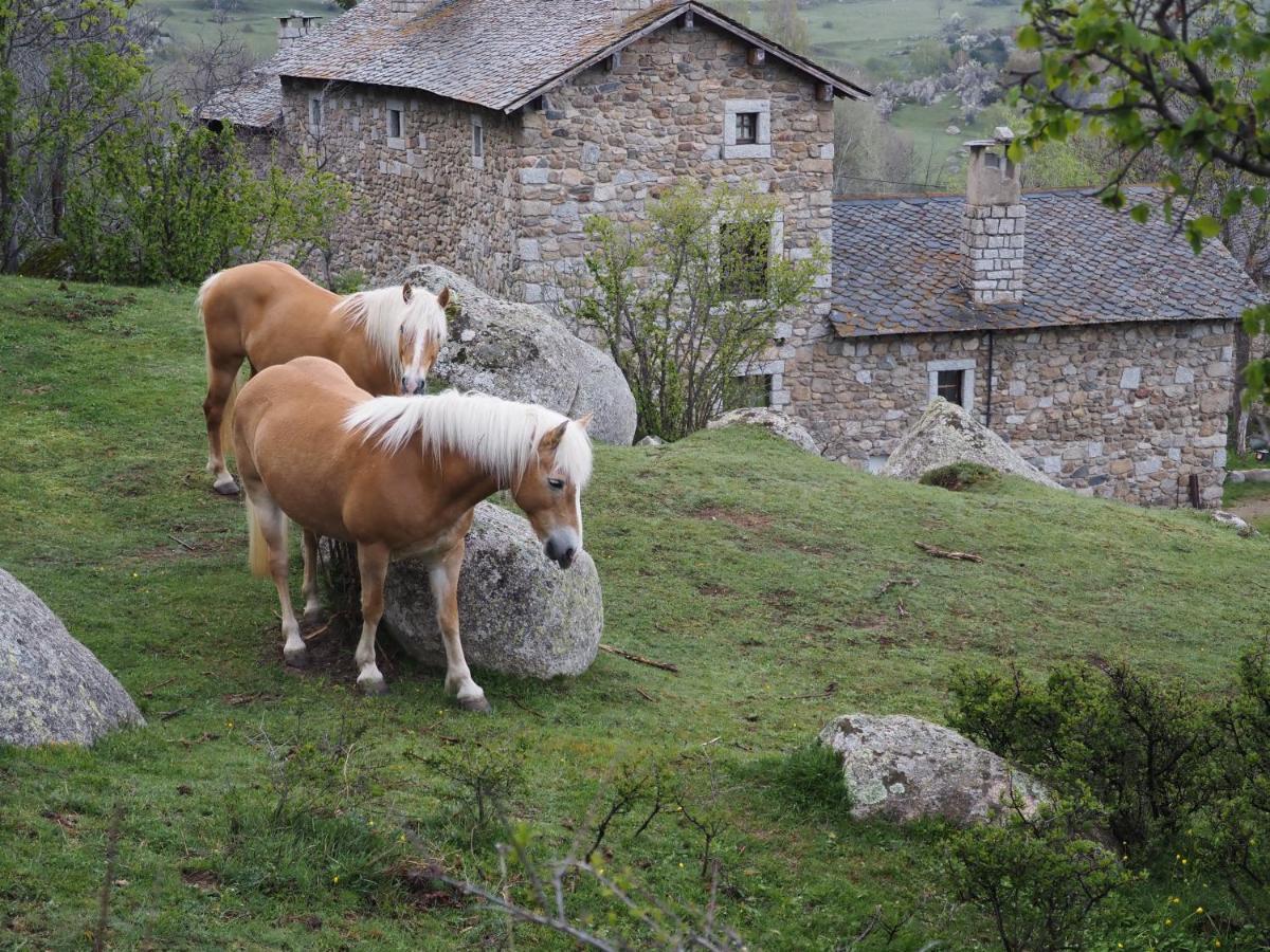 Appartamento Ferme de Béna Enveitg Esterno foto