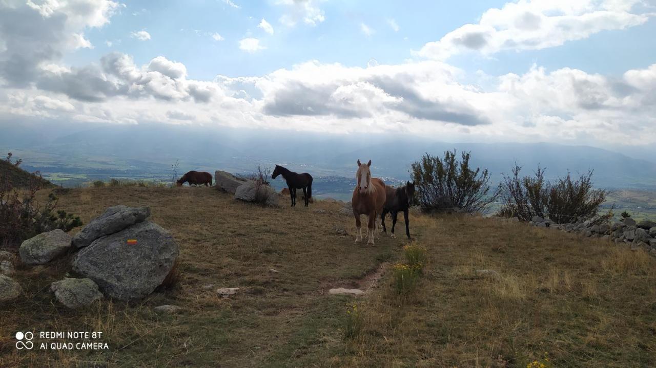 Appartamento Ferme de Béna Enveitg Esterno foto
