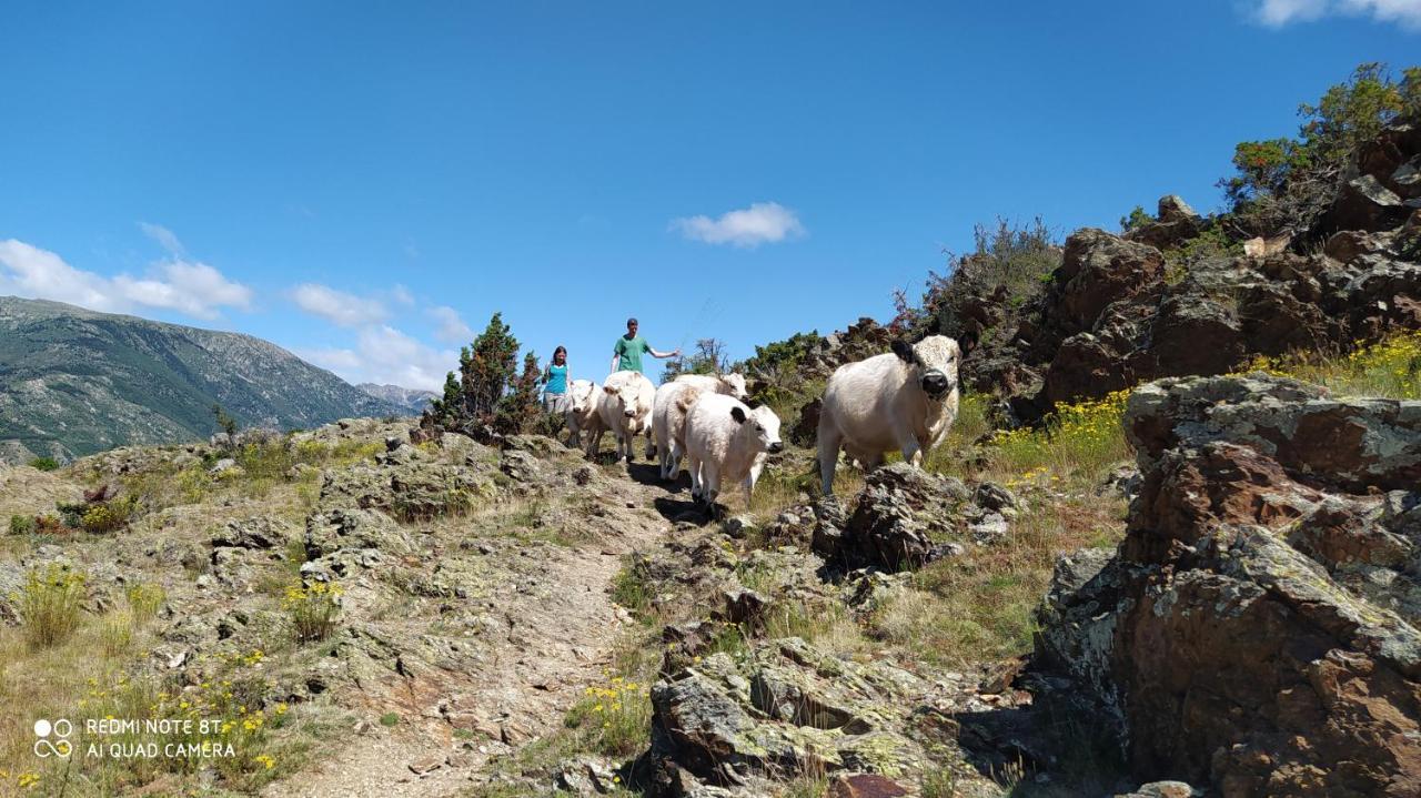 Appartamento Ferme de Béna Enveitg Esterno foto