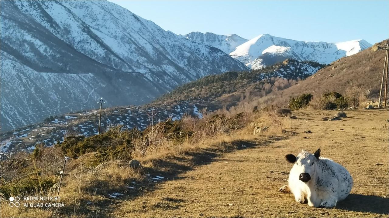 Appartamento Ferme de Béna Enveitg Esterno foto
