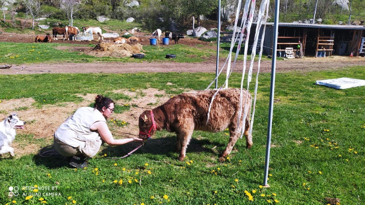 Appartamento Ferme de Béna Enveitg Esterno foto