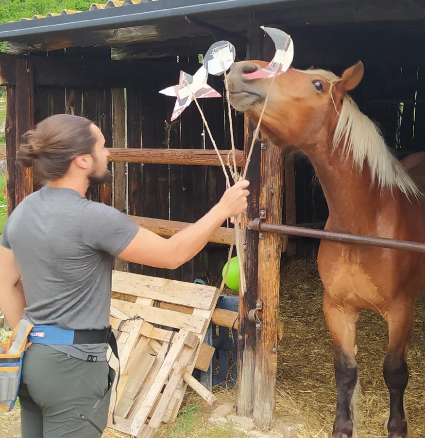 Appartamento Ferme de Béna Enveitg Esterno foto