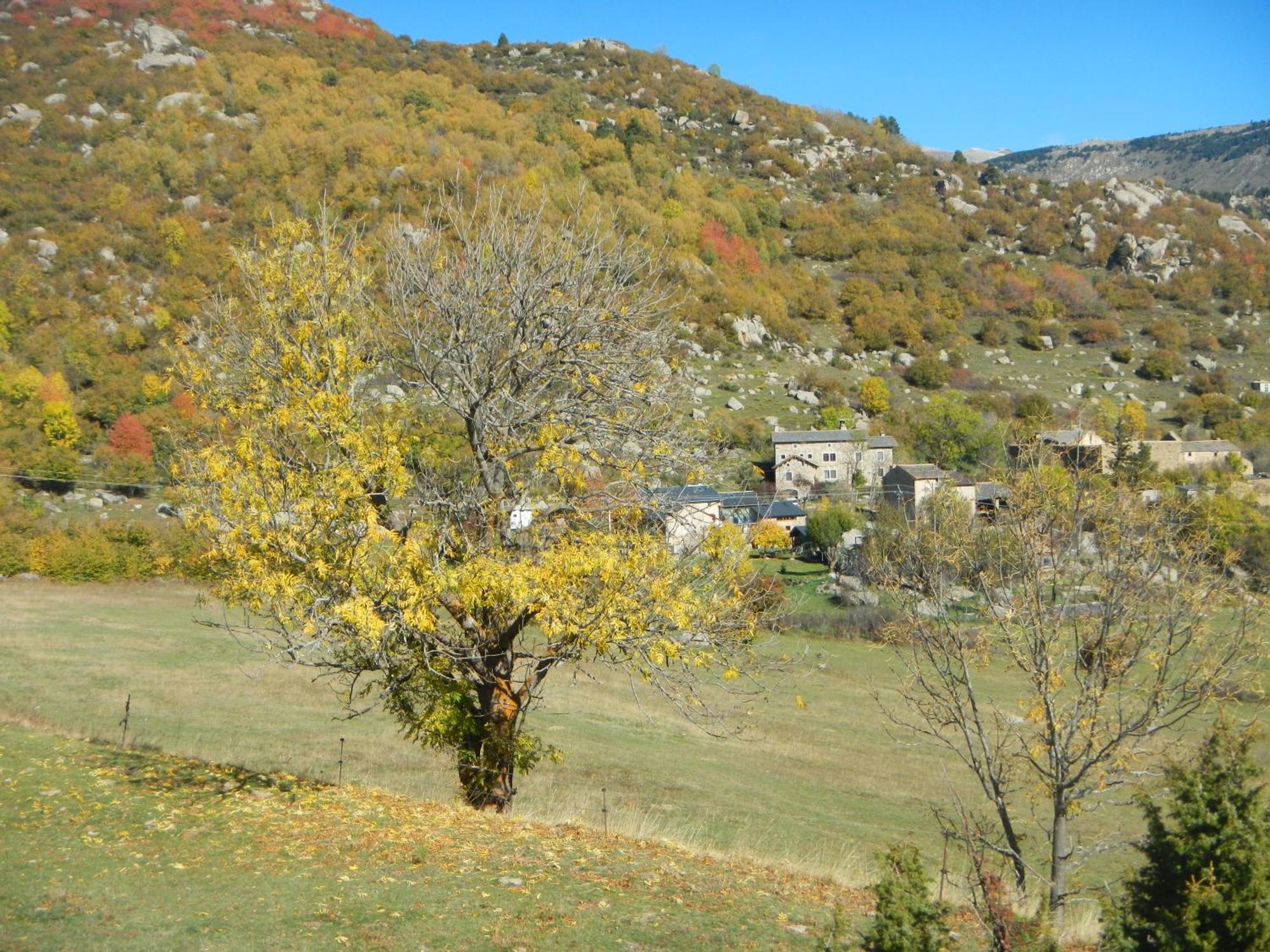 Appartamento Ferme de Béna Enveitg Esterno foto